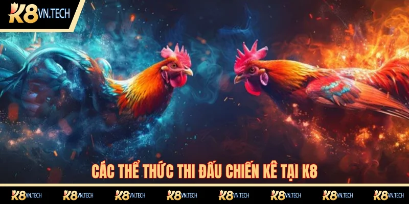 Đá Gà K8 3 Top các loại hình đá gà hấp dẫn nhất tại K8